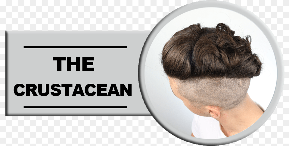 Mens Undercut Hairstyles Lace Wig, Photography, Adult, Person, Neck Free Png