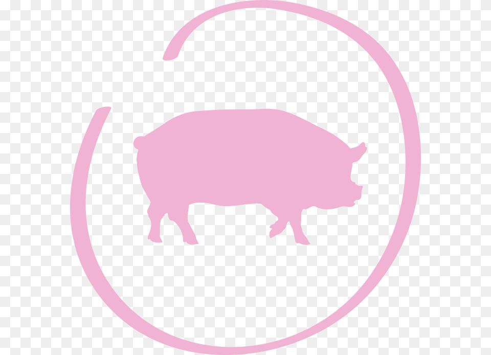 Mensa Vita, Animal, Boar, Hog, Mammal Png Image