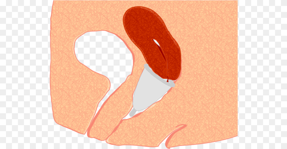 Menstrual Cup Pos3 Menstrual Cup Inside Vagina Png