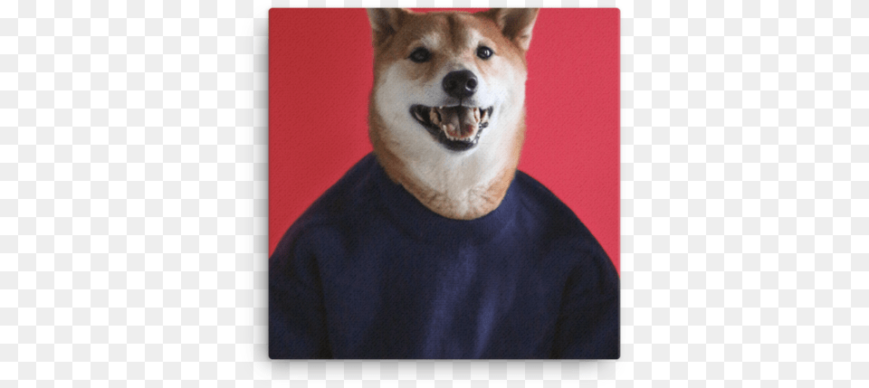 Mensweardog Love Is Love Canvas Print Shiba Inu, Animal, Canine, Dog, Husky Free Transparent Png
