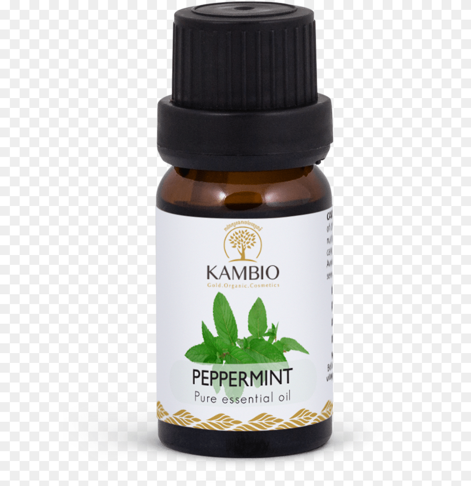 Menta, Herbal, Herbs, Plant, Astragalus Png