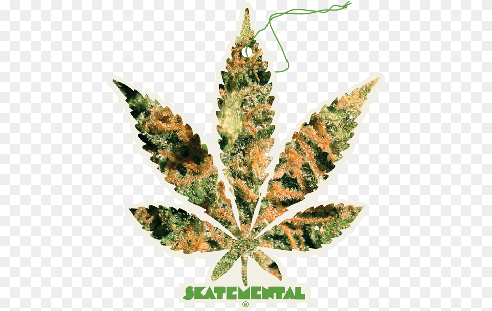 Mental Air Freshener Thc Weed Leafquotclassquotlazyload Illustration, Leaf, Plant Free Transparent Png