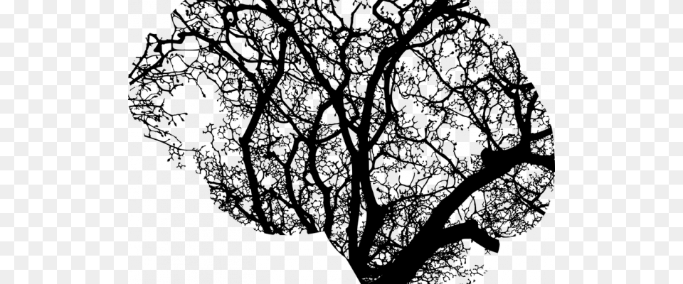 Mental Illness, Plant, Silhouette, Tree, Oak Png