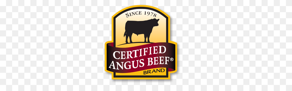 Menu, Angus, Animal, Bull, Cattle Png Image
