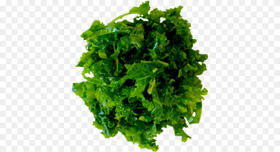Menu U2014 Hummus Republic Kale, Food, Leafy Green Vegetable, Plant, Produce Free Png