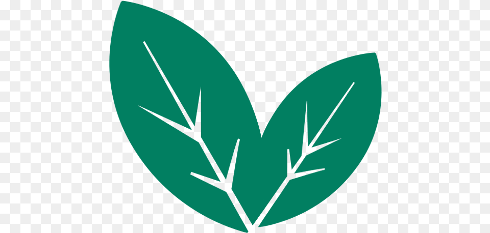 Menus Language, Plant, Herbal, Herbs, Leaf Png