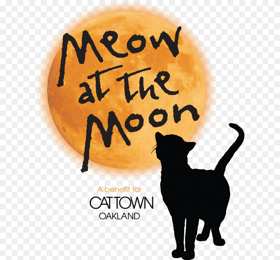 Meow At The Moon Asian, Animal, Cat, Mammal, Pet Free Png Download