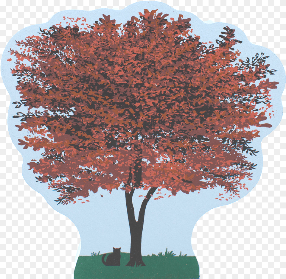 Meow Village Japanese Maple Tree 09 Maple, Leaf, Plant, Person, Head Free Png