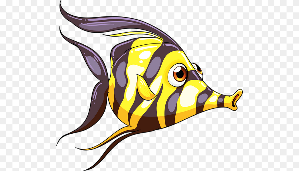 Mer Tube Poisson Dessin Dessin Poisson, Angelfish, Animal, Fish, Sea Life Png