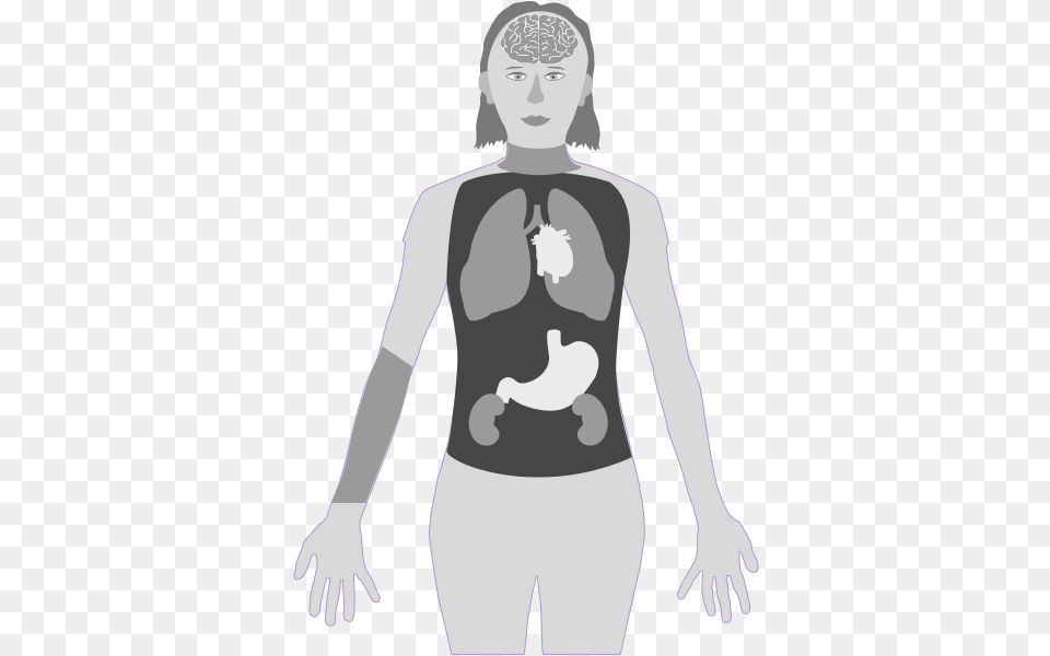 Mercury In Body System, Adult, Female, Person, Woman Png