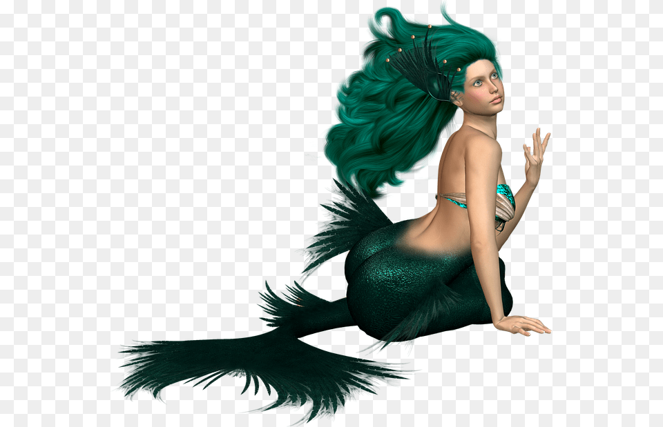 Mermaid, Adult, Female, Person, Woman Png