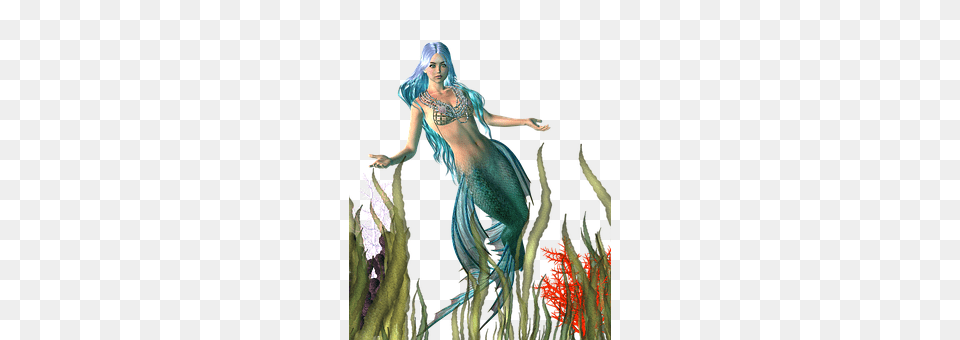 Mermaid Adult, Female, Person, Woman Free Png