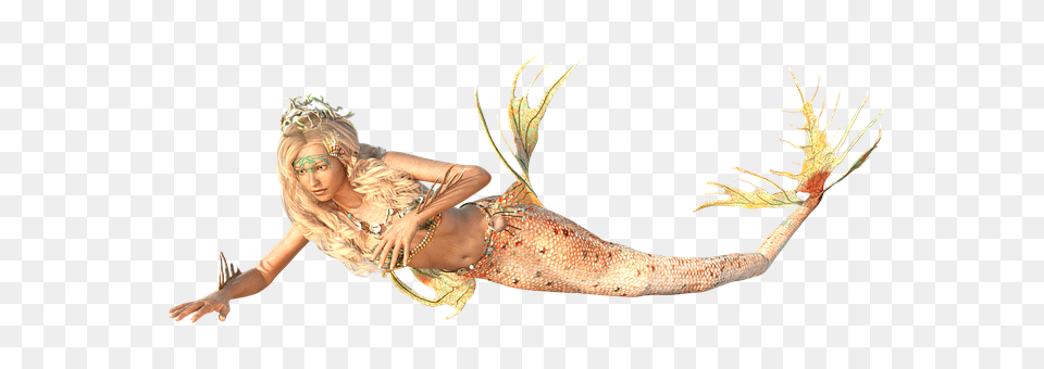 Mermaid Woman, Adult, Wedding, Person Png