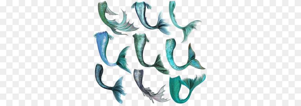 Mermaid Animal, Fish, Sea Life, Pattern Free Transparent Png