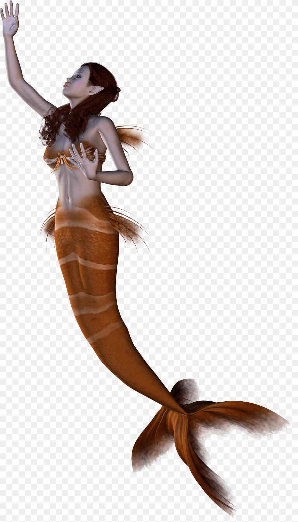 Mermaid, Lighting, Concert, Crowd, Stage Png