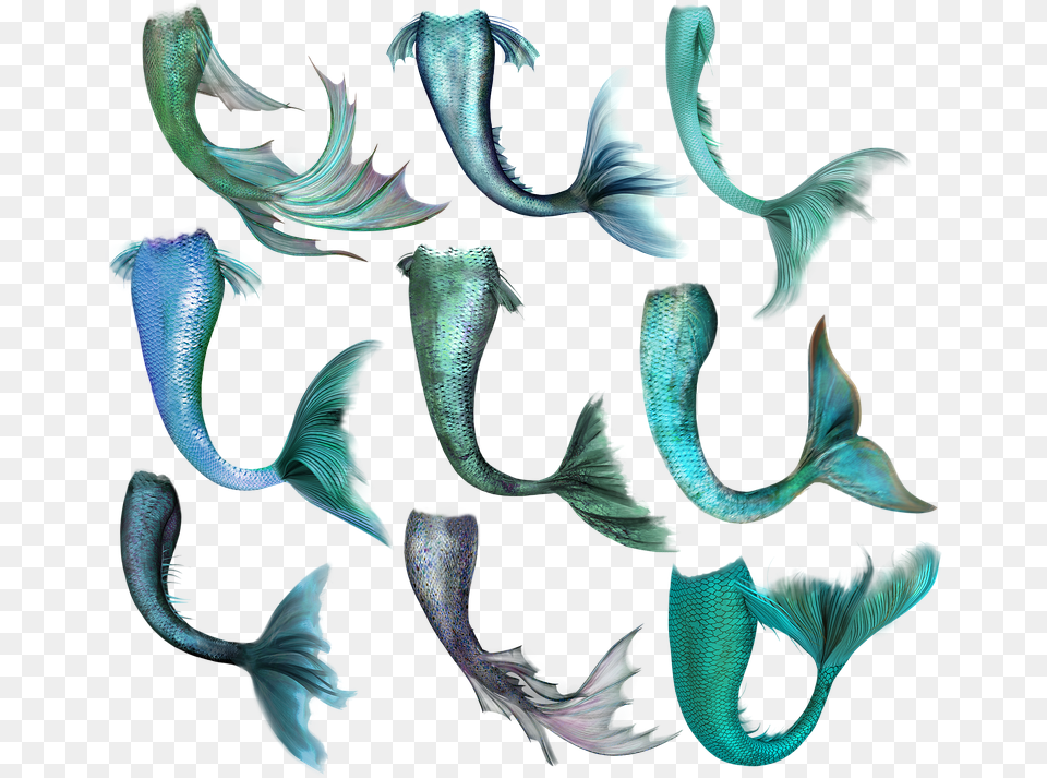 Mermaid Fish Tail Merrow Fantasy Magic Creature Mermaid Tail Overlay, Animal, Sea Life, Pattern, Water Free Transparent Png
