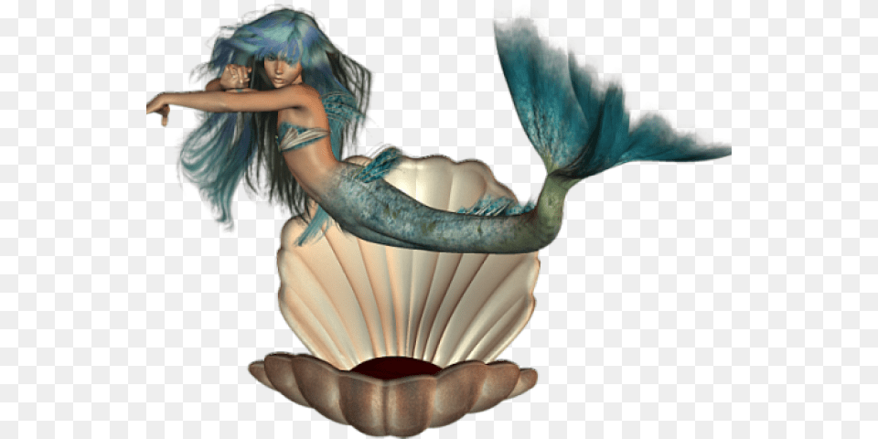 Mermaid Images Mermaid, Invertebrate, Animal, Clam, Seashell Free Png