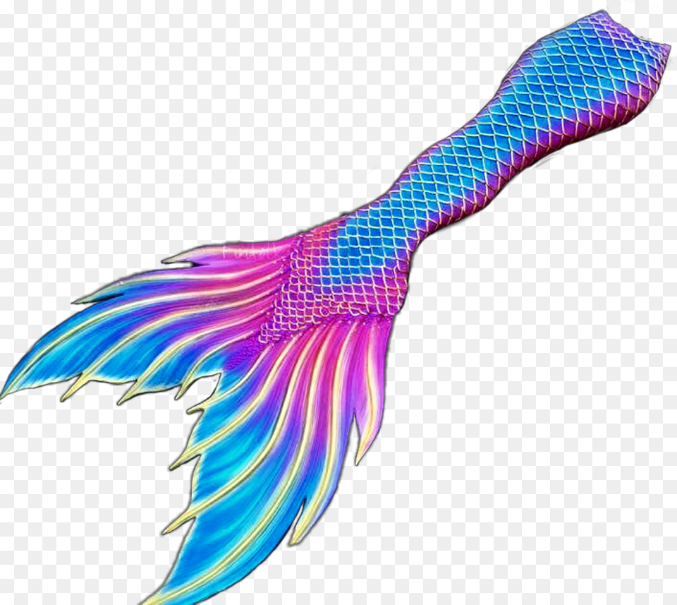 Mermaid Mermaids Tail Fin Tails Fins Fantasy Illustration, Electronics, Hardware, Accessories, Adult Png Image