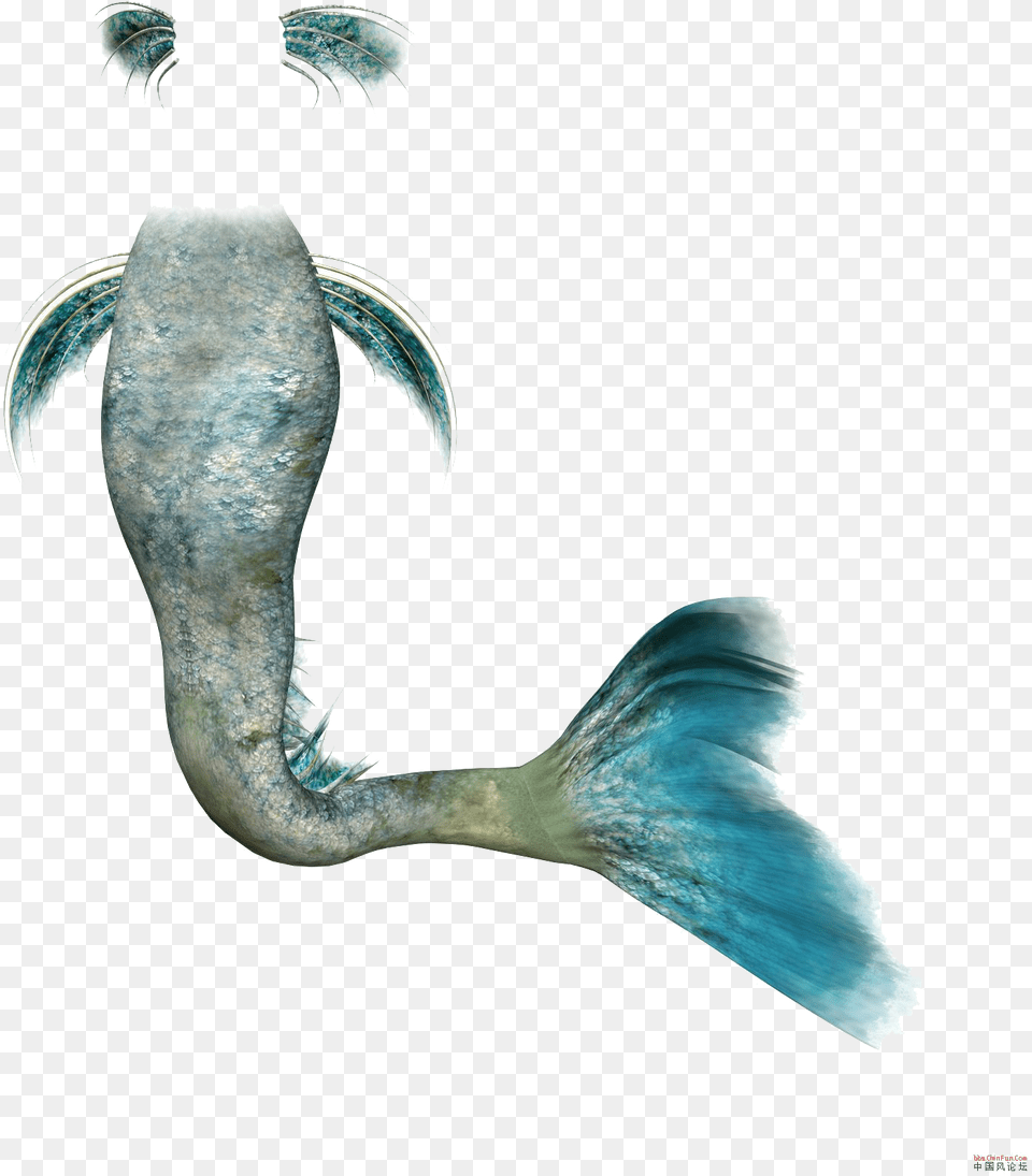 Mermaid Rusalka Clip Art, Aquatic, Water, Animal, Sea Life Png