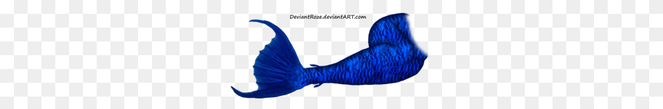 Mermaid Tail, Aquatic, Water, Animal, Sea Life Free Transparent Png