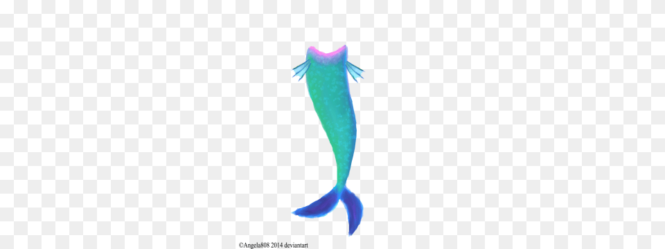 Mermaid Tail, Aquatic, Water, Animal, Sea Life Free Transparent Png