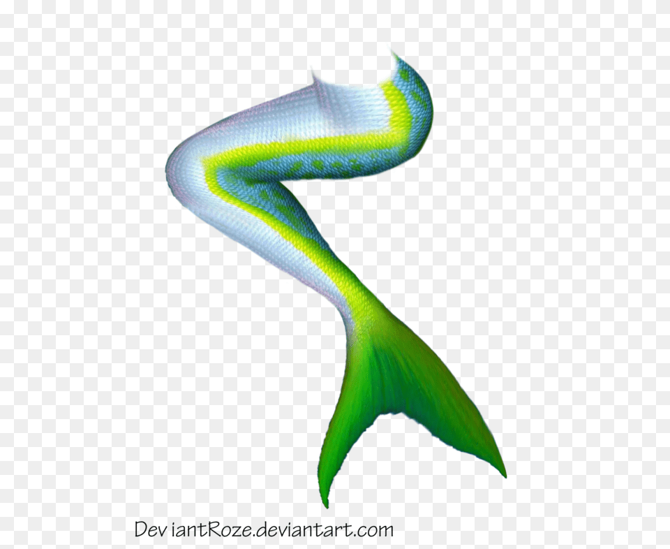 Mermaid Tail, Water, Aquatic, Snake, Reptile Png Image