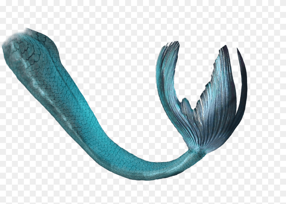 Mermaid Tail Blue Green Mermaid Tail Transparent, Animal, Reptile, Snake, Sea Life Png