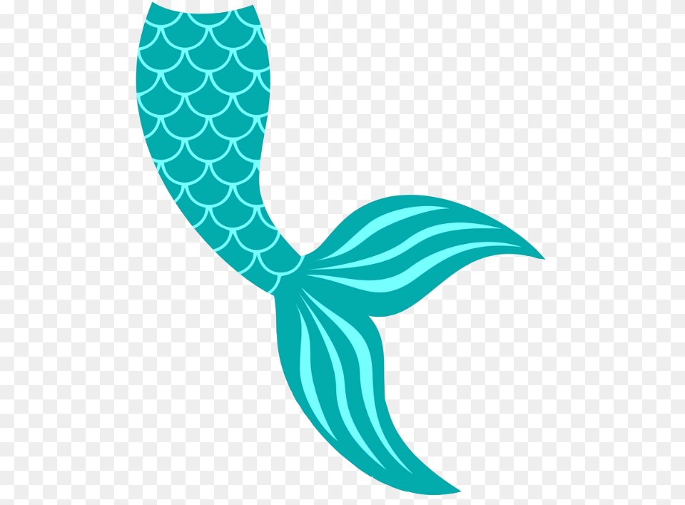 Mermaid Tail Mermaidtail Jezelamadeus Freetoedit, Animal, Sea Life, Reptile, Snake Free Transparent Png