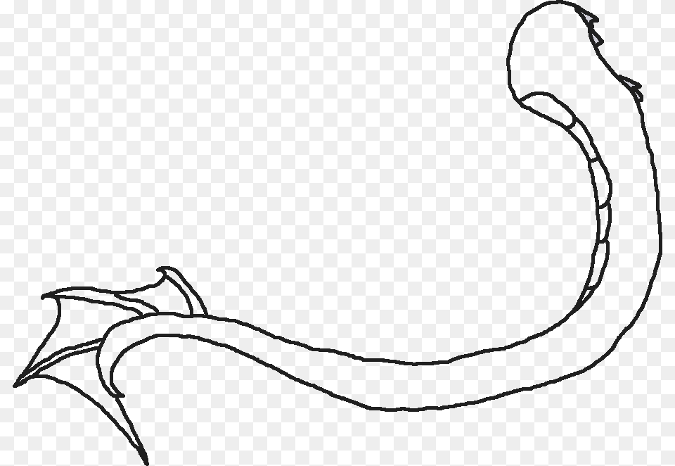Mermaid Tail Outline Outline Of A Dragons Tail Outline Of A Dragon39s Tail Free Transparent Png