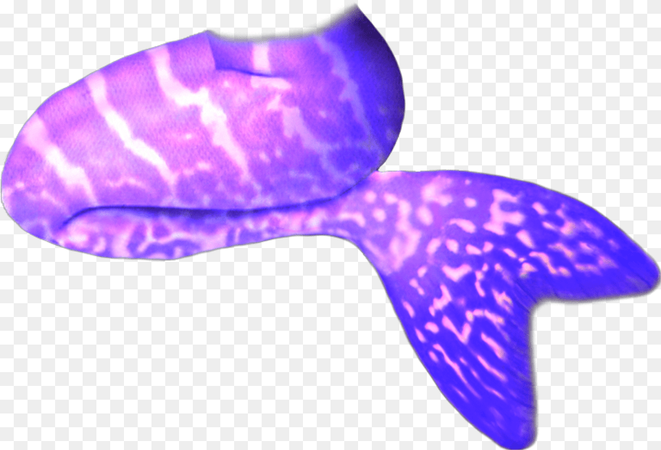 Mermaid Tail Scmermaids Purple Galaxy Rh Picsart Com, Animal, Sea Life, Fish Png Image