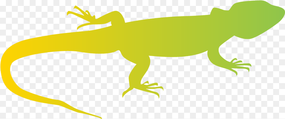 Mermaid Tail Silhouette, Animal, Gecko, Lizard, Reptile Png Image