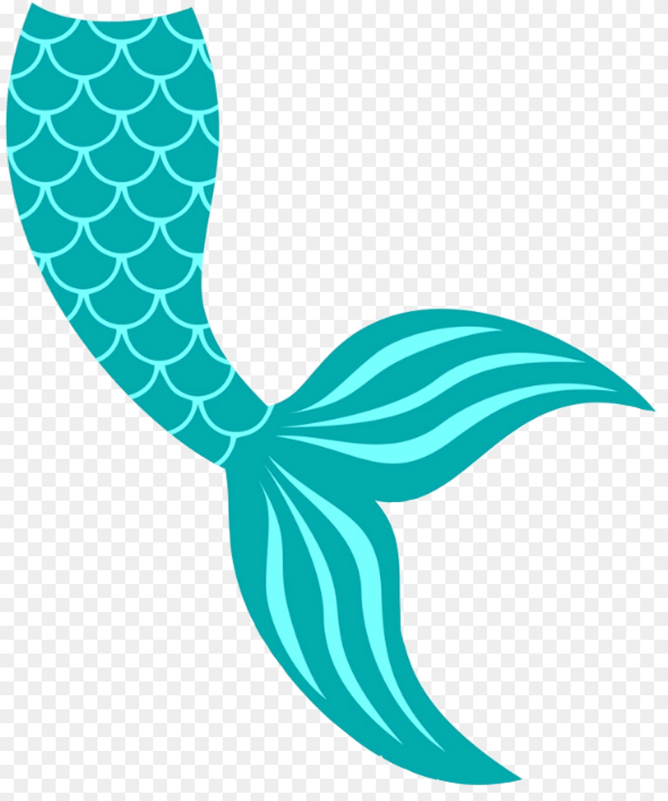 Mermaid Tail Svg Free Transparent Mermaid Tail Clipart, Animal, Sea Life, Bird Png Image