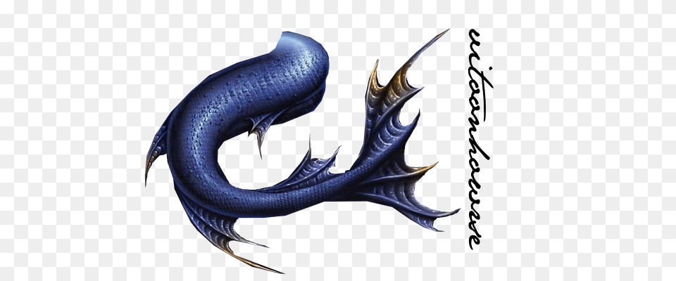 Mermaid Tail Transparent Images, Dragon, Animal, Reptile, Snake Free Png