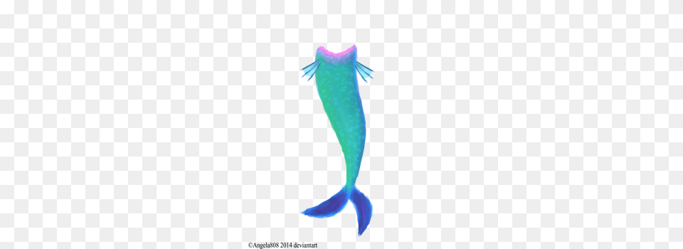 Mermaid Tail Transparent Mermaid Tail Images, Aquatic, Water, Animal, Sea Life Png Image