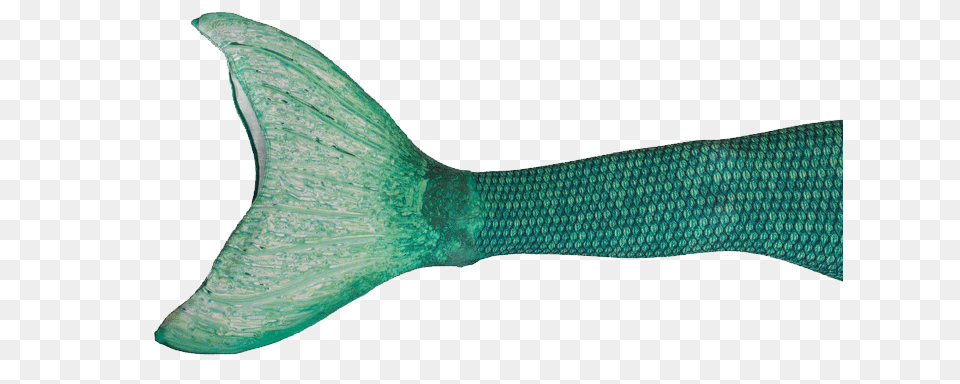 Mermaid Tail Professional Images Only, Animal, Fish, Food, Mullet Fish Free Transparent Png