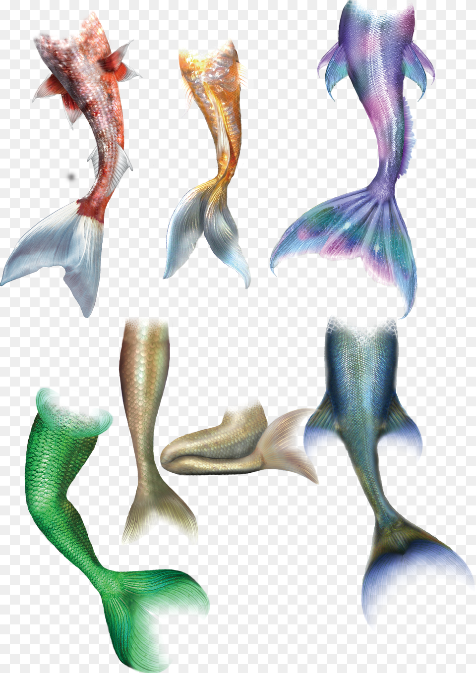 Mermaid Tail Transprent Mermaid Fish Scale Drawing Free Png