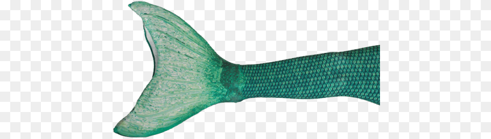 Mermaid Tails Now Available Mermaid Fins, Animal, Fish, Food, Mullet Fish Free Transparent Png