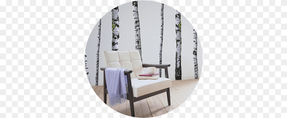 Merrick White From Merrick39s Art Birch Tree Decal, Plant, Home Decor, Furniture, Cushion Png
