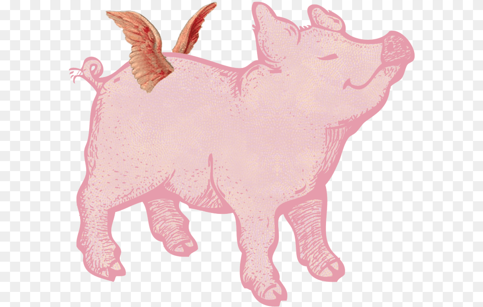 Merry Bright Christmas Pigs Pig With Wings, Animal, Mammal, Hog, Boar Free Png Download