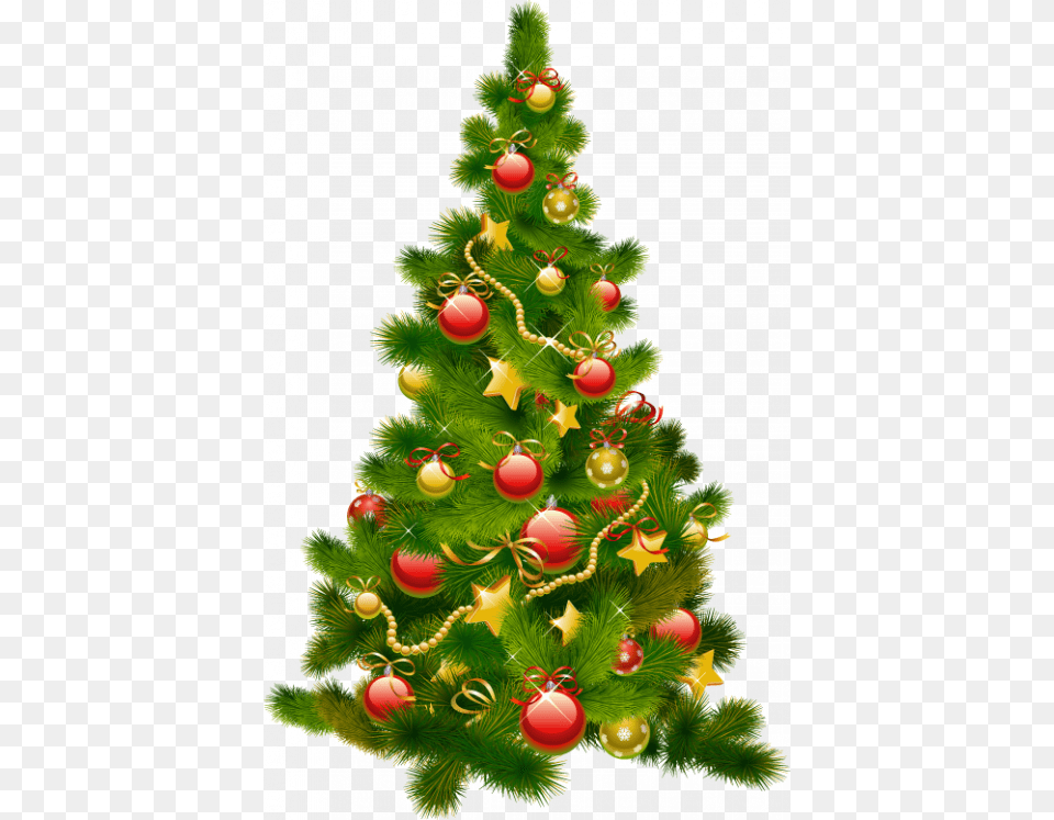 Merry Ch Christmas Tree, Plant, Christmas Decorations, Festival, Christmas Tree Free Png Download
