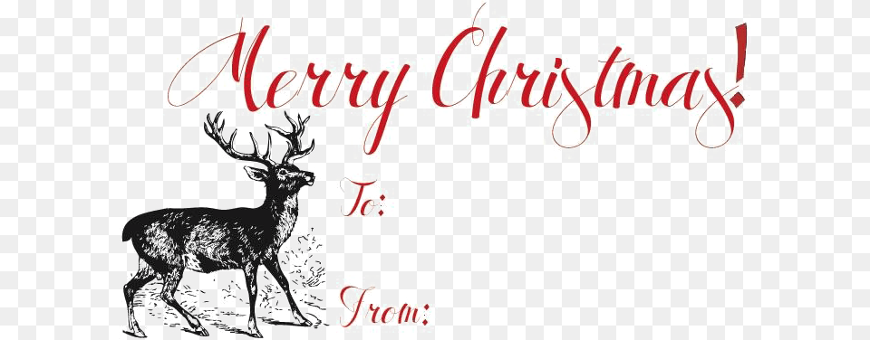 Merry Christmas, Animal, Deer, Mammal, Wildlife Free Png Download