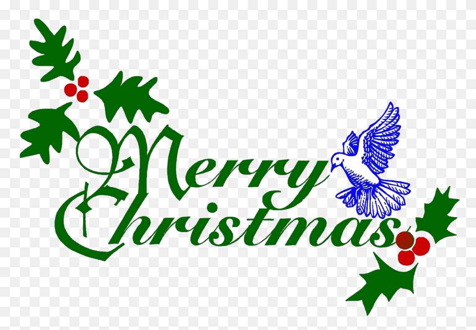 Merry Christmas Background, Animal, Bird, Jay Png