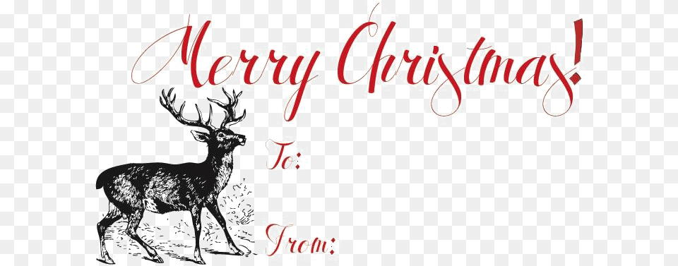 Merry Christmas Arts Gift Card Merry Christmas, Animal, Deer, Mammal, Wildlife Free Png Download