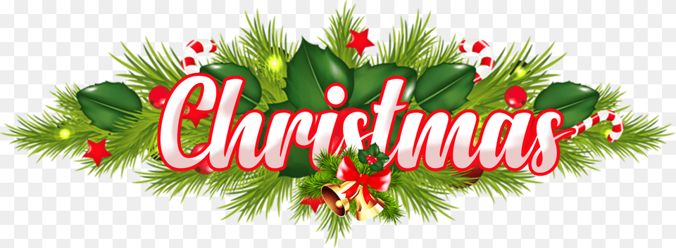 Merry Christmas Image Download Merry Christmas Background, Art, Graphics, Plant, Tree Free Png
