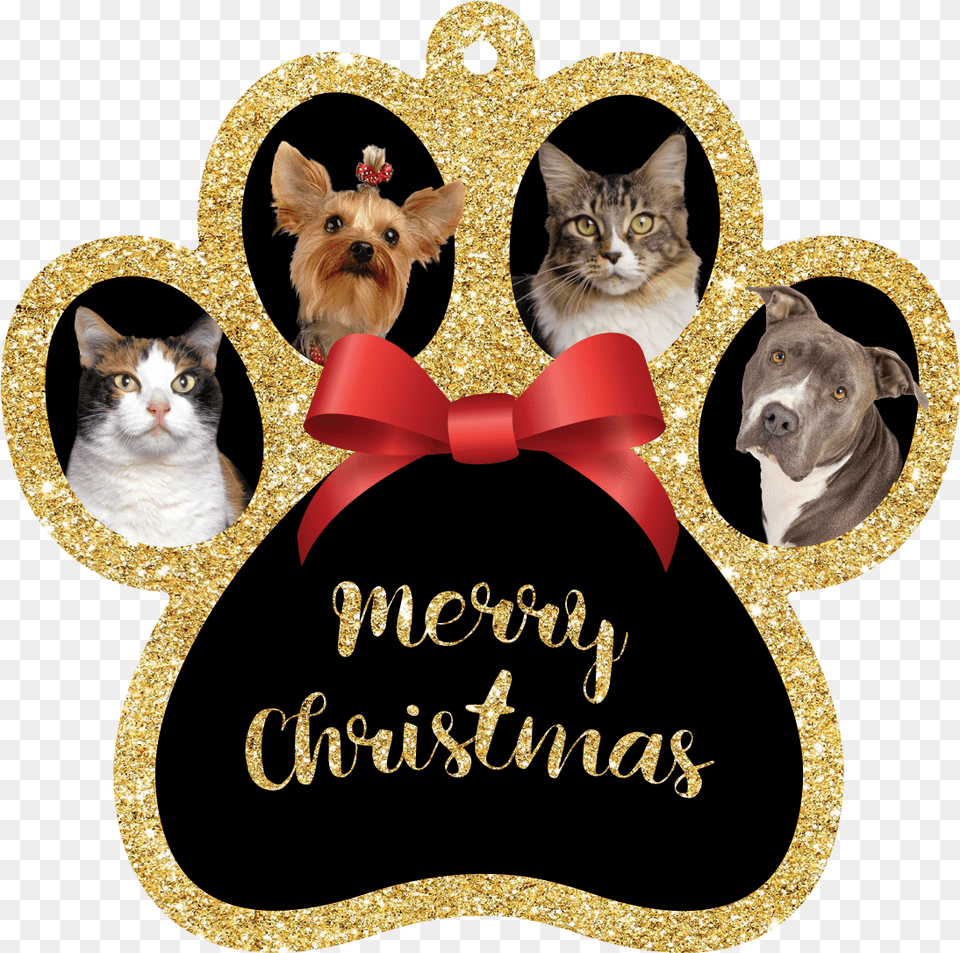 Merry Christmas Pets At Home, Envelope, Mail, Greeting Card, Mammal Png