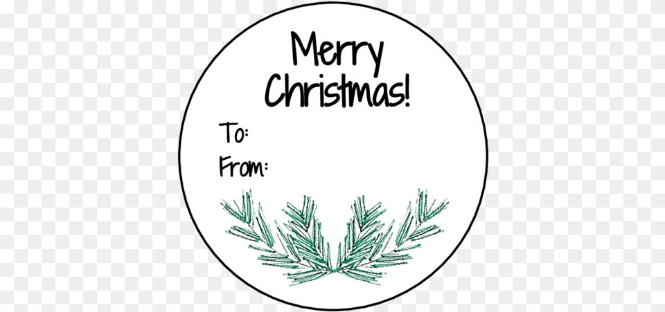 Merry Christmas Pine Needle Circle Gift Tag Labels Merry Christmas Gift Tag, Plant, Tree, Outdoors, Fir Png