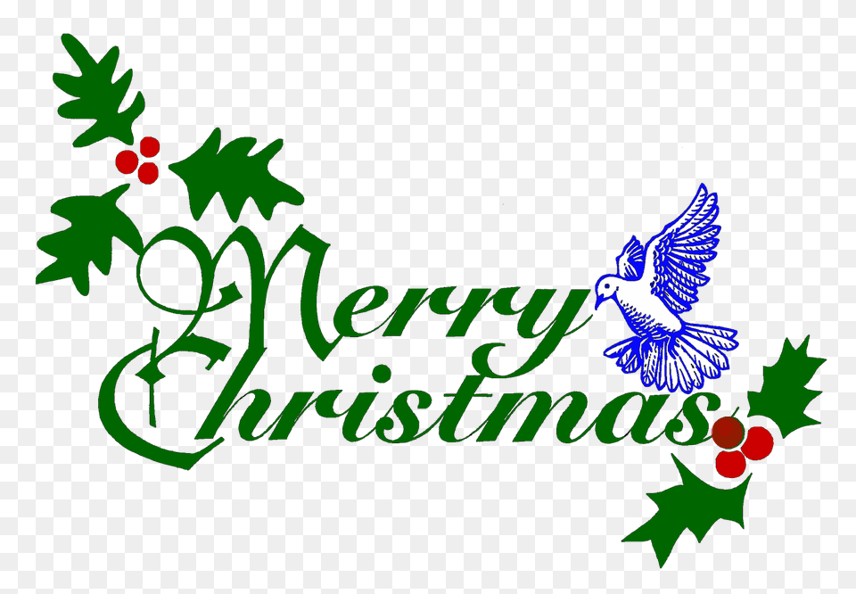 Merry Christmas Text, Animal, Bird, Jay Free Transparent Png