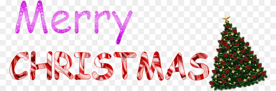 Merry Christmas Texts, Plant, Tree, Christmas Decorations, Festival Free Transparent Png