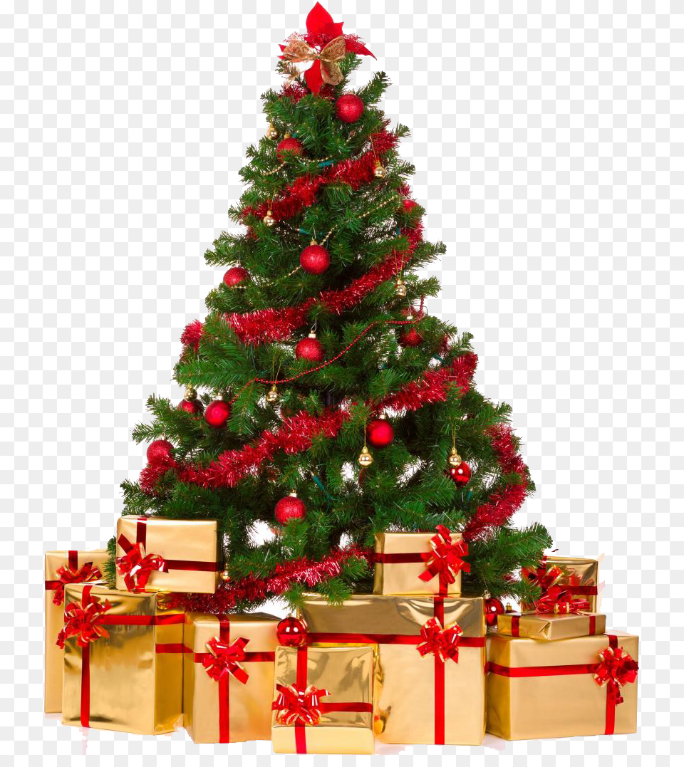 Merry Christmas Tree, Plant, Christmas Decorations, Festival, Christmas Tree Png Image