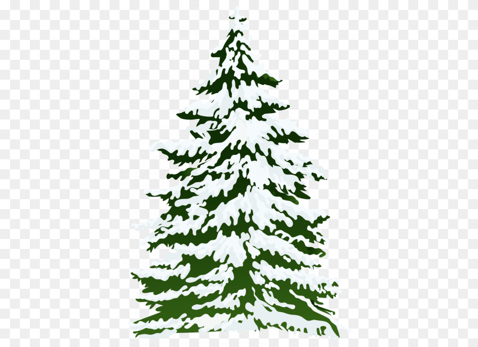 Merry Christmas Tree Watercolor Snowy Pine Tree, Plant, Christmas Decorations, Festival, Fir Free Png Download